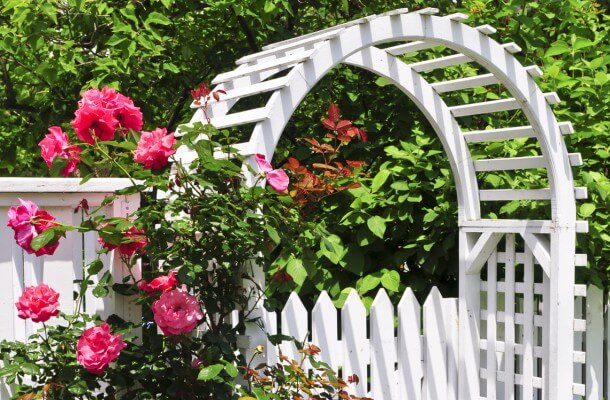 Trellises and Arbors in Wichita Falls, Texas